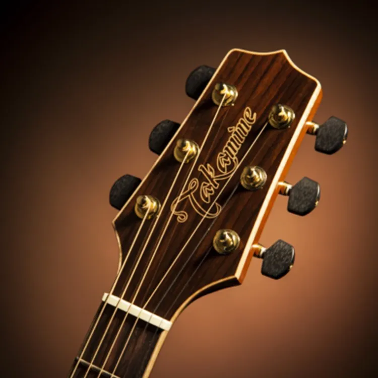 TAKAMINE GN93CE NAT