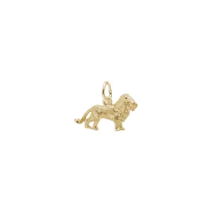 Textured Lion Charm