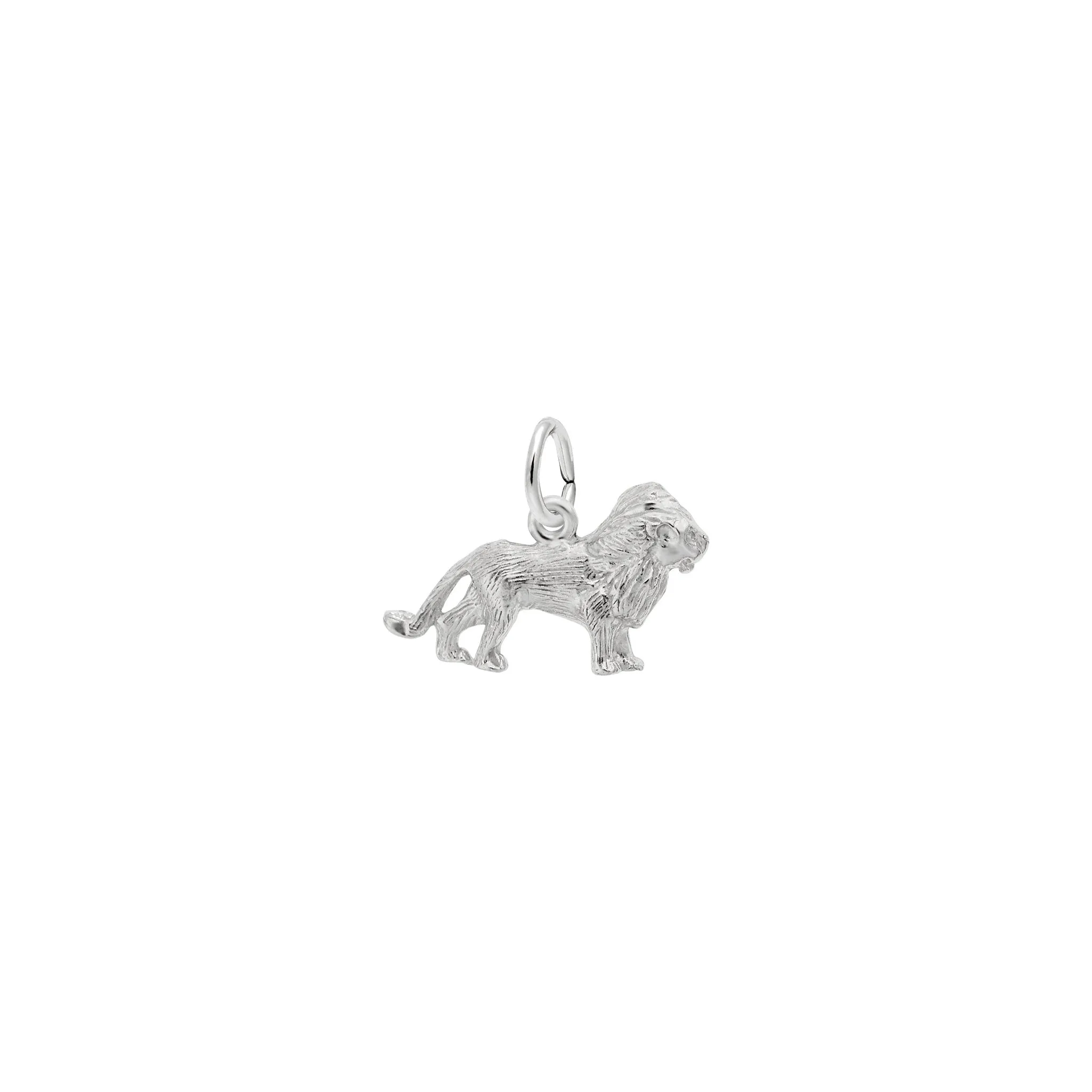Textured Lion Charm