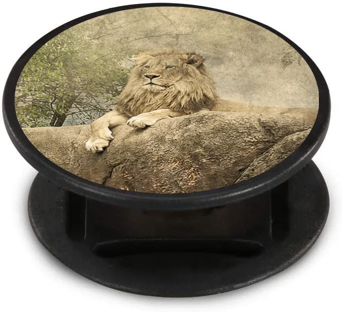 Textured Lion Nuckees