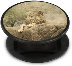 Textured Lion Nuckees