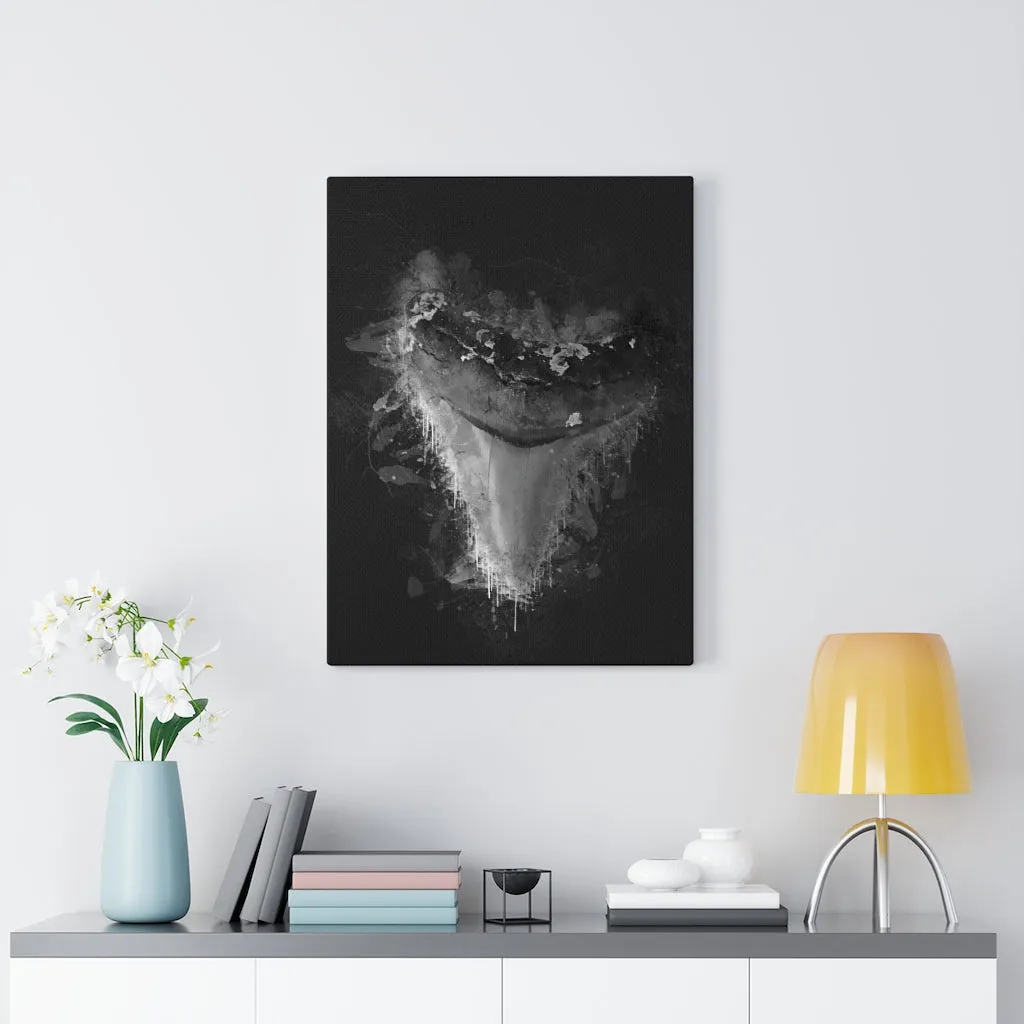 The Casperson Megalodon