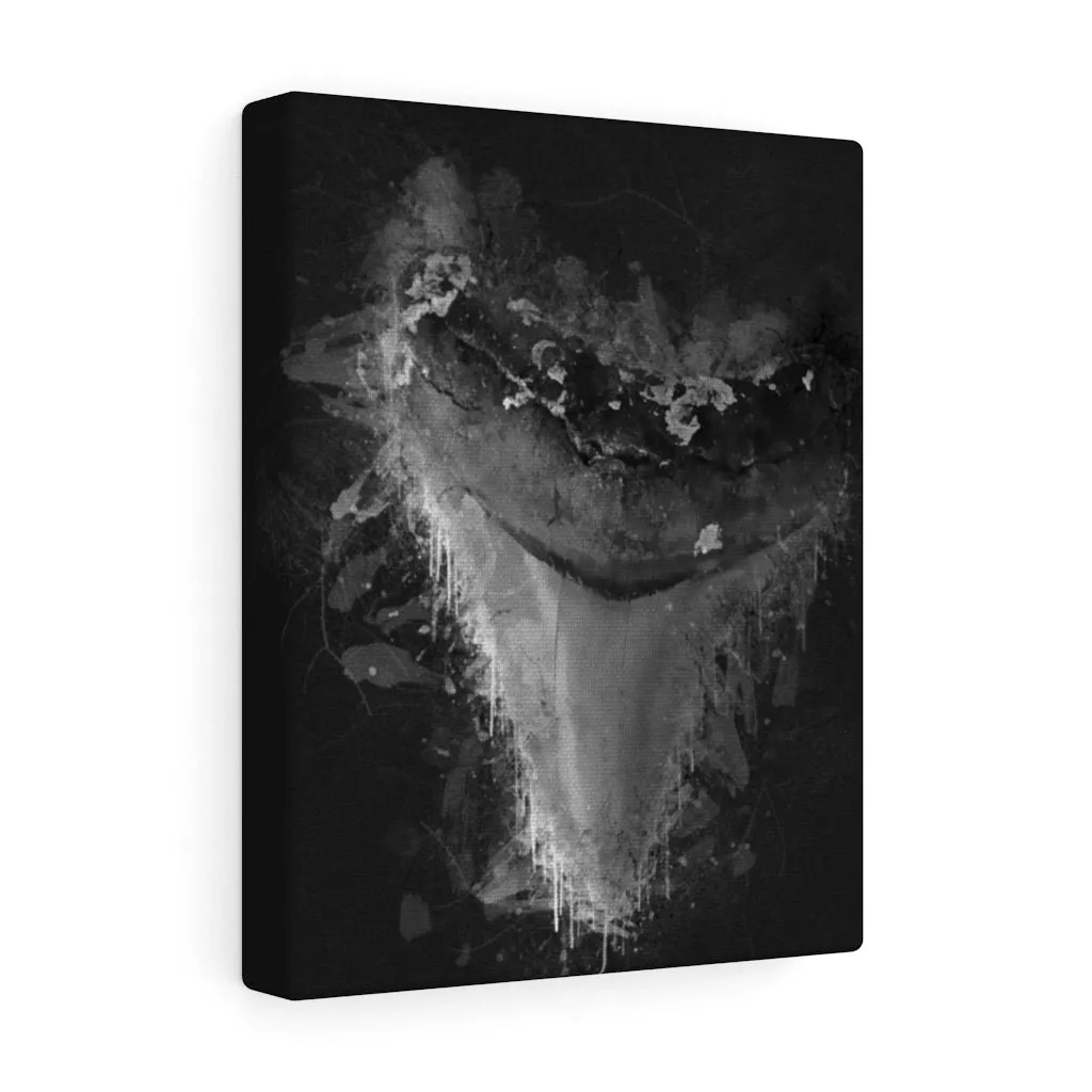 The Casperson Megalodon