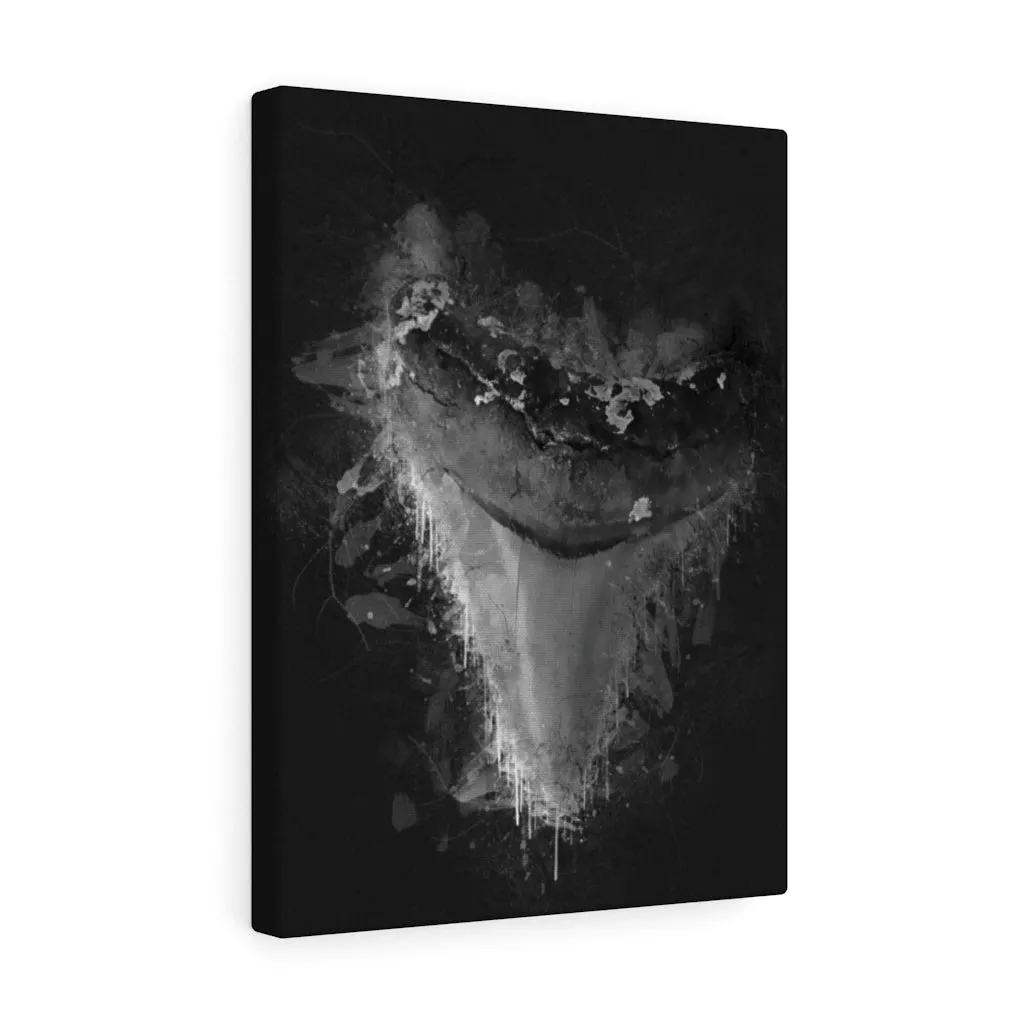 The Casperson Megalodon