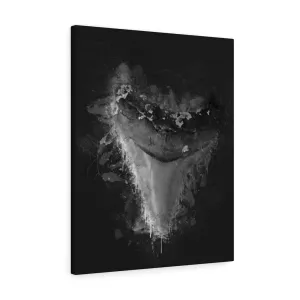 The Casperson Megalodon