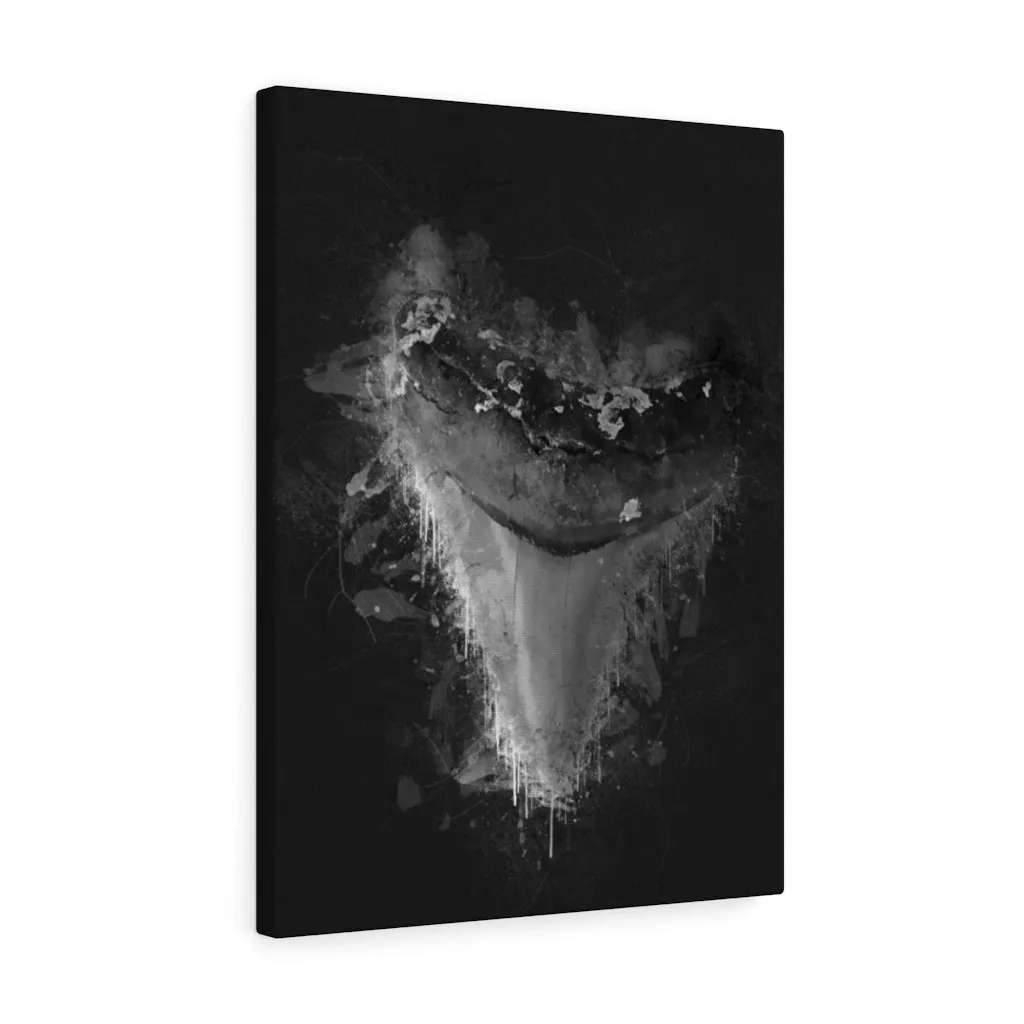 The Casperson Megalodon