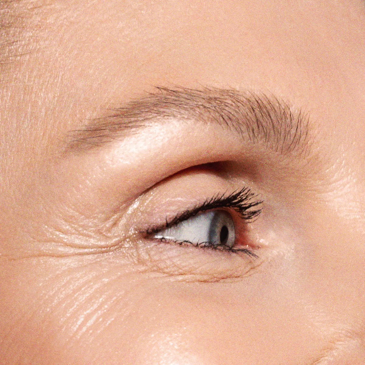 THICK & FLUFFY - 02 Light Brown