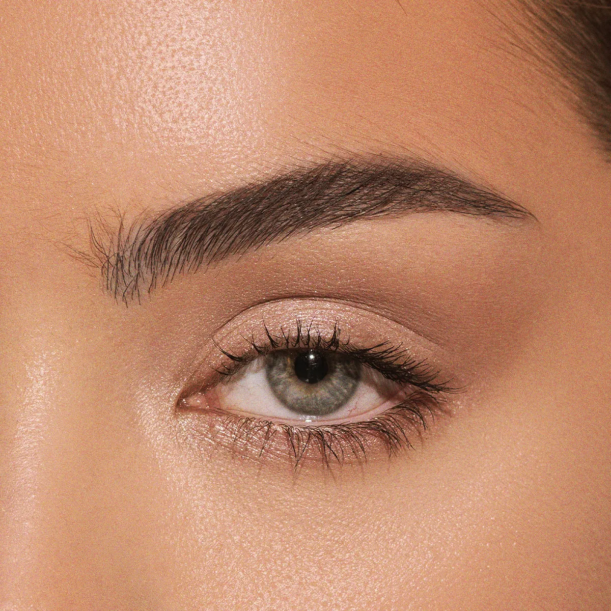 THICK & FLUFFY - 04 Dark Brown