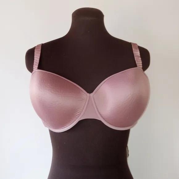 ThirdLove T Shirt Bra Bundle