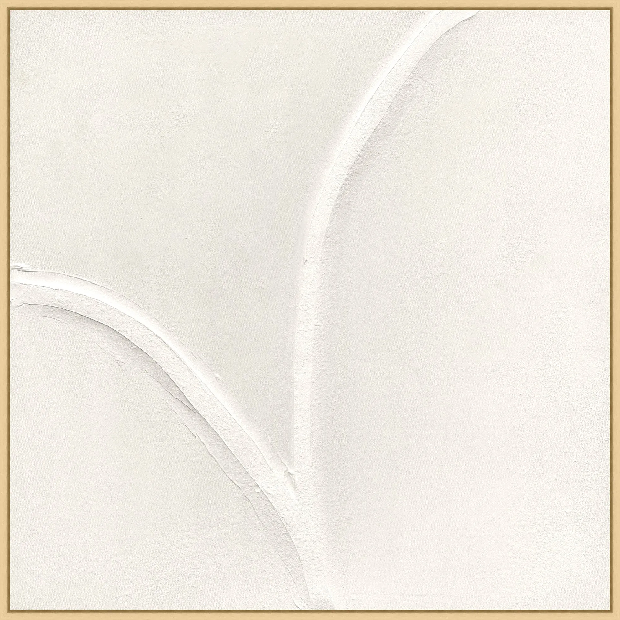 White Curves