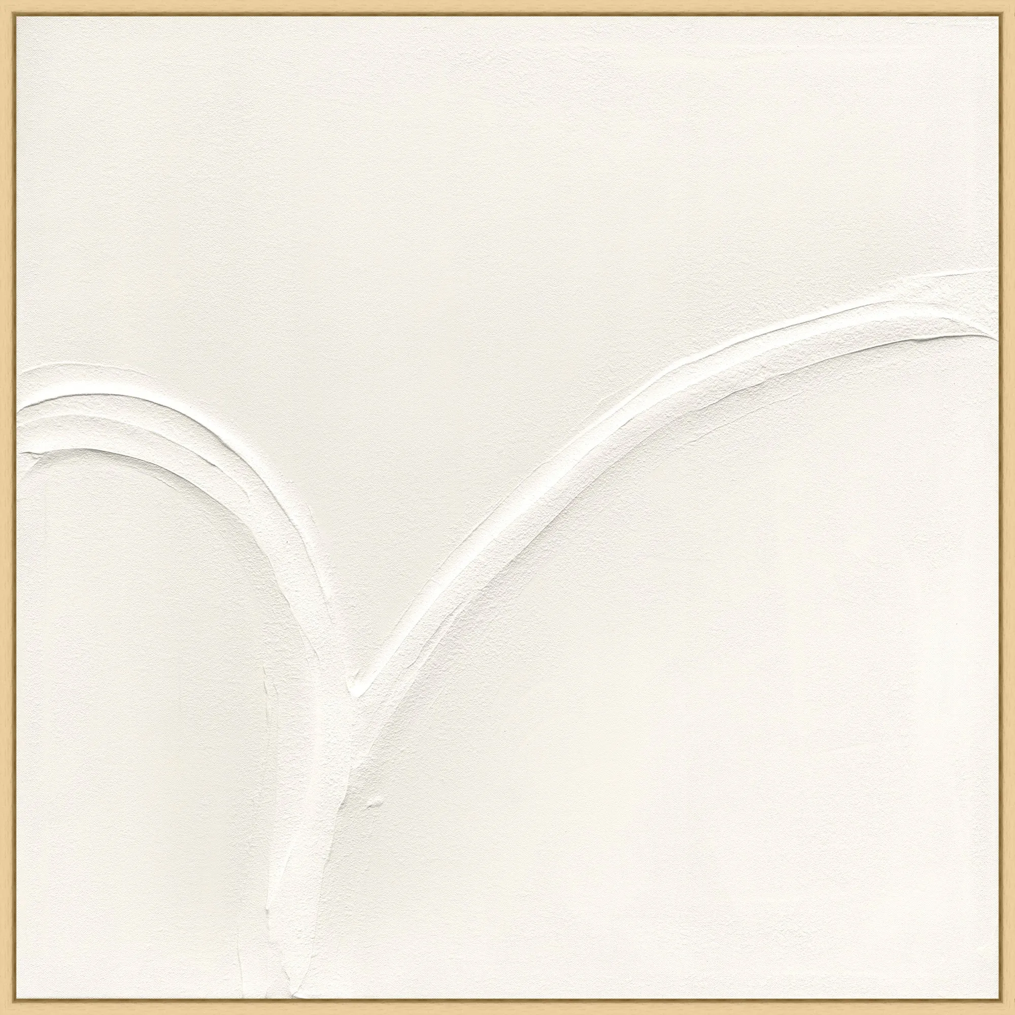 White Curves