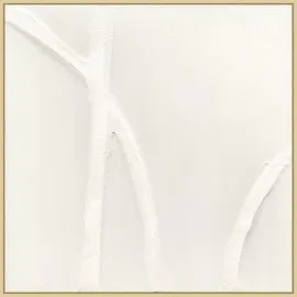 White Curves